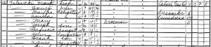 1905 WI State Census - Click for larger